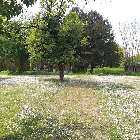 Charmante Maison Vitry-le-François Exteriér fotografie