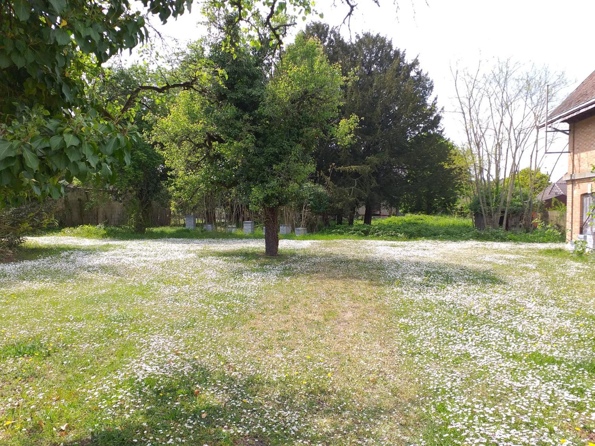Charmante Maison Vitry-le-François Exteriér fotografie
